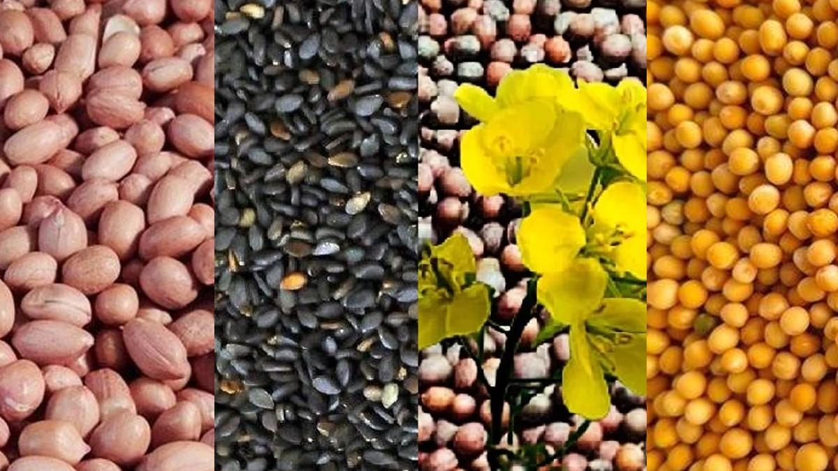 किन देशों को देसी तिलहन का एक्सपोर्ट कर रहा भारत (Photo-Kisan Tak).