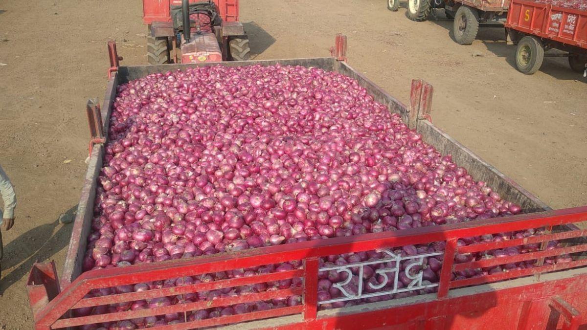 किसानों को कब मिलेगा प्याज़ का उचित दाम ? (photo kisan tak)