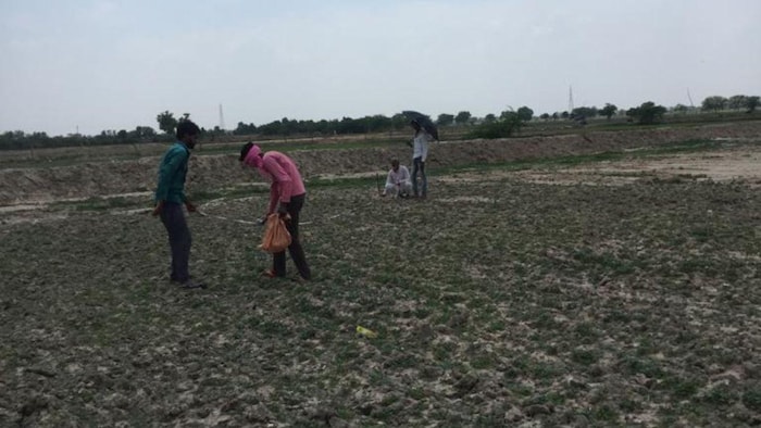 रबी फसलों की कटाई के बाद खेतों की पैमाइश कराते पटवारी, फाइल फोटो: किसान तक