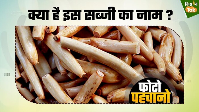 क्या आपको पता है इस सब्जी का नाम? GFX: संदीप भारद्वाज