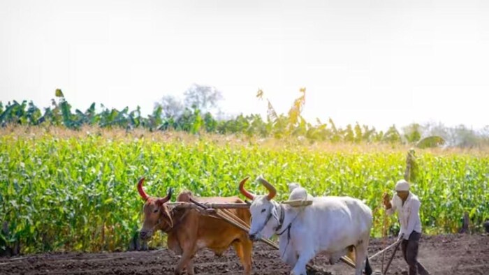 14th Installment of PM Kisan Yojana Latest Update