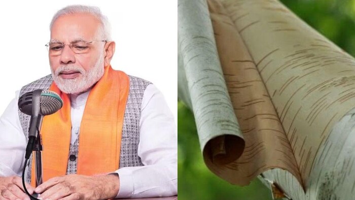 भोजपत्र क्या होता है, जिसकी PM मोदी ने की खूब तारीफ