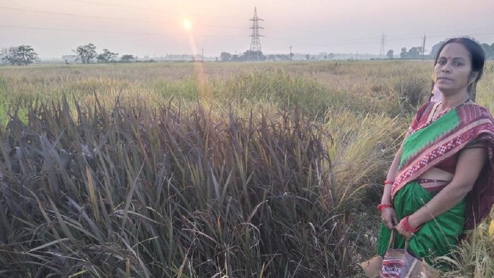 बस्तर की महिला किसान प्रभाती भारत