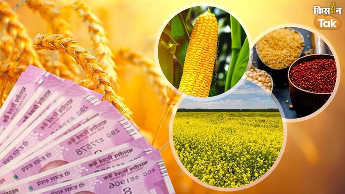 फसल बीमा कंपनियों ने कितना पैसा कमाया (Photo-Kisan Tak).