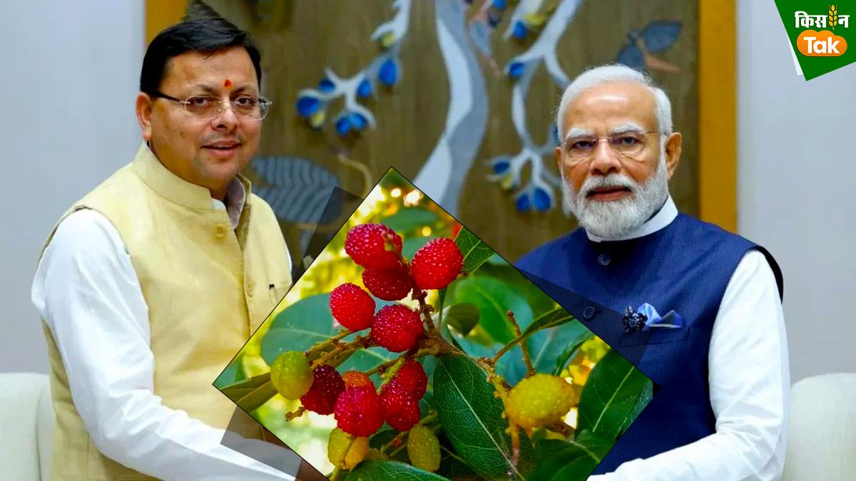 पीएम मोदी को भाए उत्तराखंड के काफल