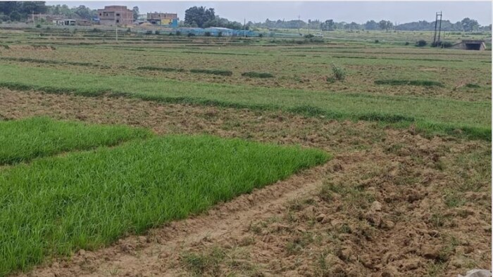 पानी के अभाव में खाली पड़े खेत फोटोः किसान तक