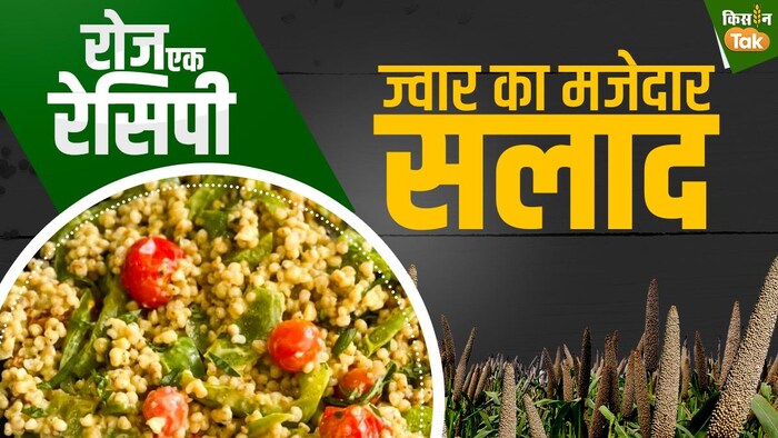 झट से बनाएं ये मजेदार ज्वार सलाद: GFX: संदीप भारद्वाज