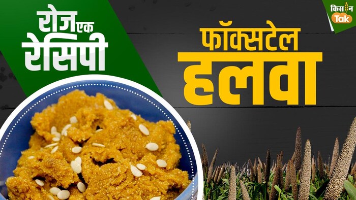 जानें कंगनी खाने के फायदे