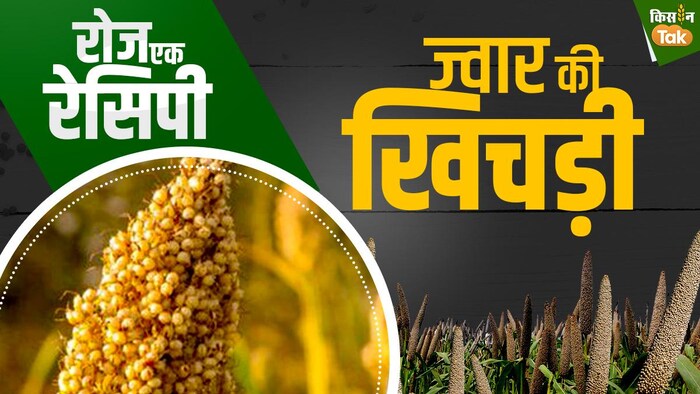 स्वाद भी और सेहत भी, बनाएं और खाएं ज्वार खिचड़ी