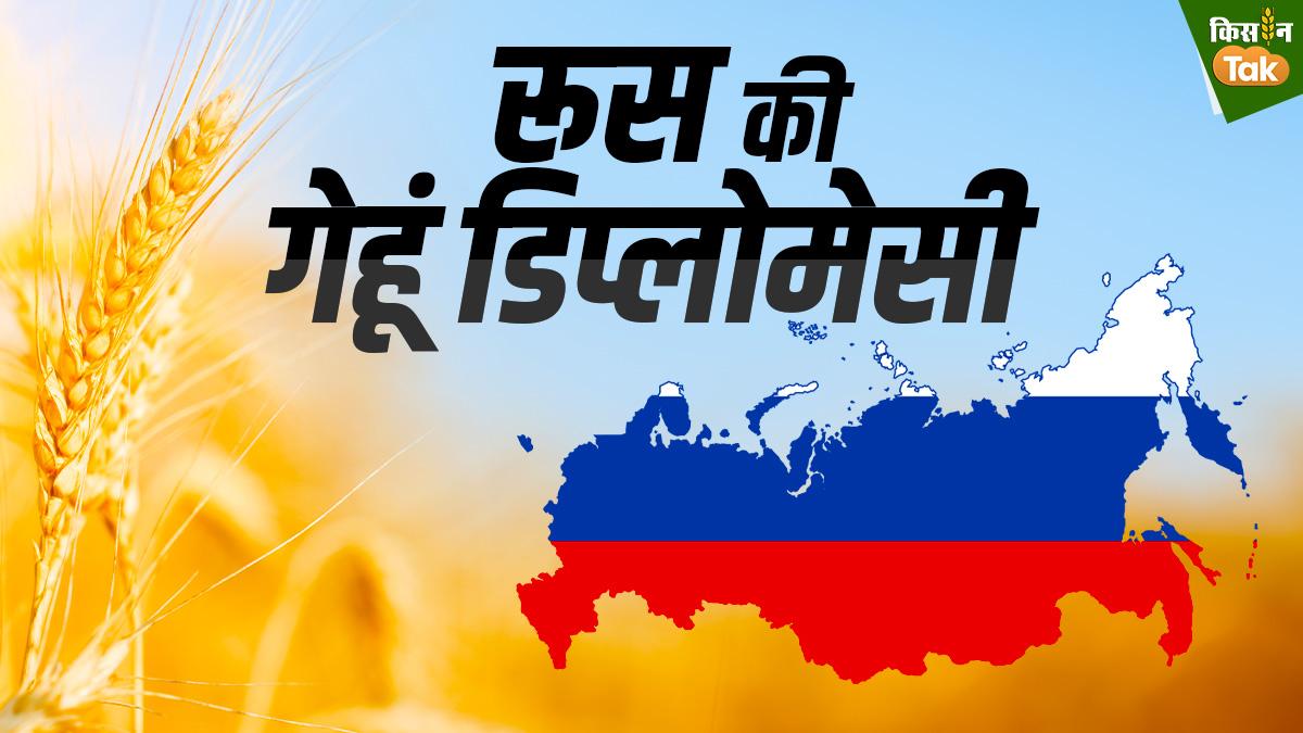 Wheat Price: रूस की गेहूं ड‍िप्लोमेसी...दुन‍िया के कई देश 'च‍ित'! भारत पर क‍ितना असर... 
