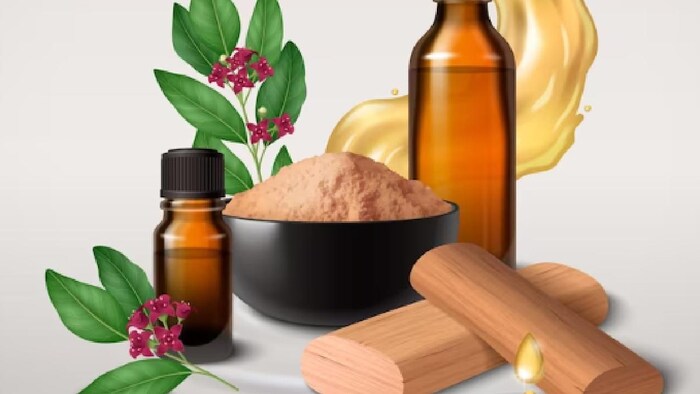 मैसूर सैंडल शॉप से किसानों को होगा फायदा (फोटो साभार-Freepik)