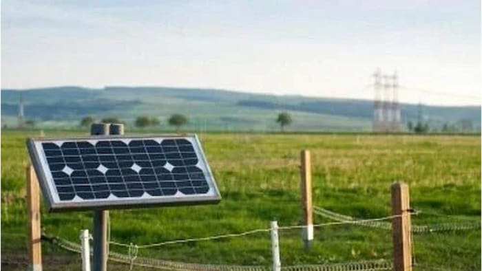 सोलर फेंसिंग लगाने से छुट्टा पशुओ से मिलेगी सुरक्षा