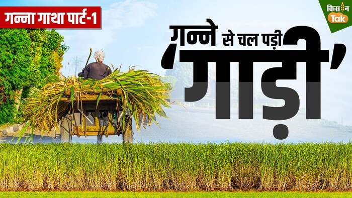 गन्ना किसानों और शुगर मिल मालिकों के बीच विवादों में कमी आई है. Graphics-Sandeep Bharadwaj