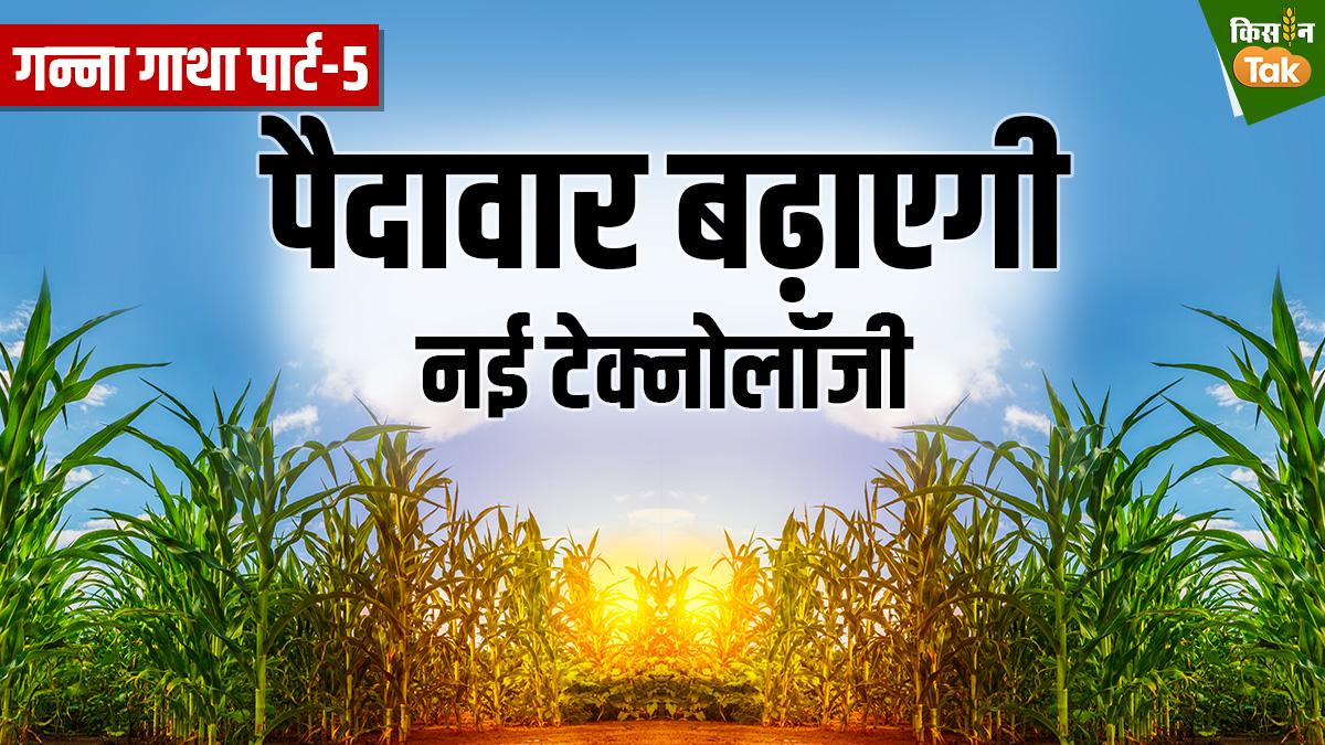 Sugarcane Part-5: उत्तर भारत के गन्ना किसानों को क्यों मिलता है कम लाभ? जानिए नई टेक्नोलॉजी कैसे भरेगी ये कमी