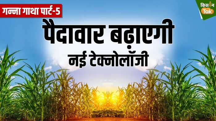 बड चिप तकनीक से गन्ने की खेती में लागत कम और पैदावार ज्यादा