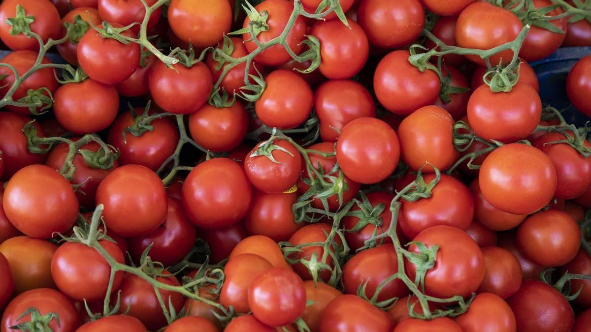 केंद्र ने टमाटर की कीमतों पर नियंत्रण पाने के लिए जनता से मांगा आइडिया