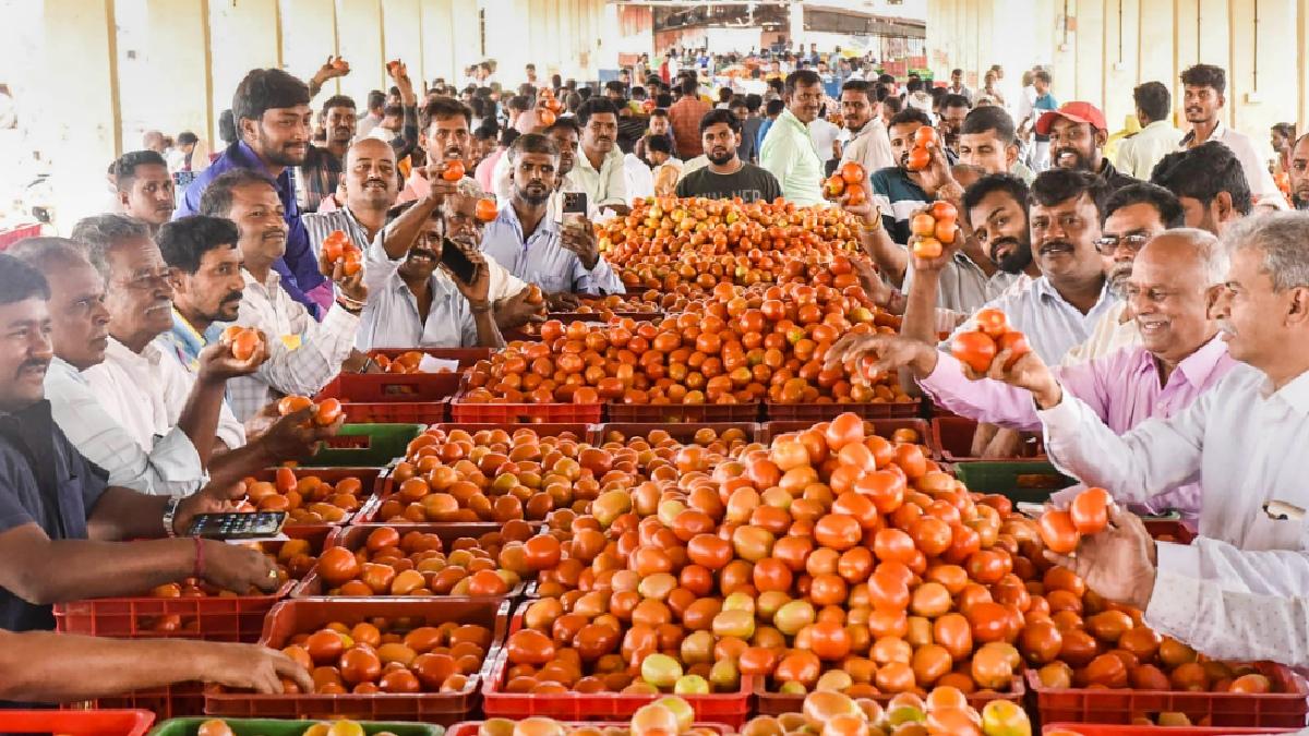 टमाटर की कीमतों में तेजी से इजाफा देखा जा रहा है (फोटो साभार-India Today/PTI)
