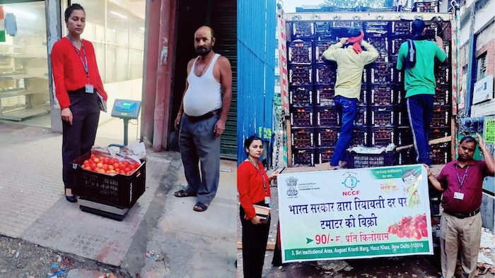 सरकारी विभाग एनसीसीएफ सस्ता टमाटर बेच रहा है