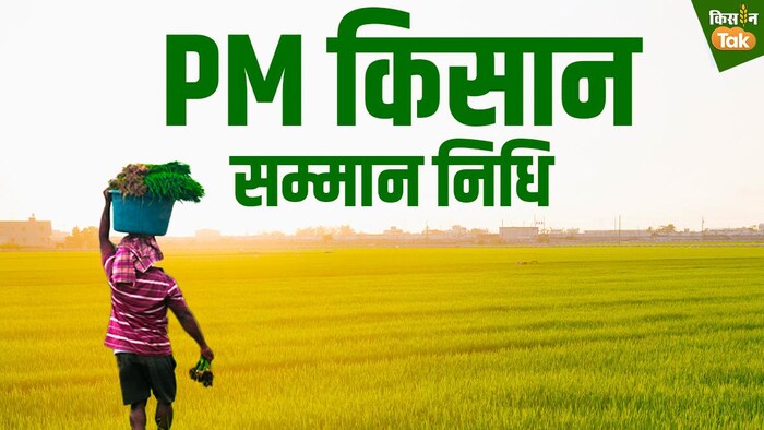 PM किसान सम्मान निधि में फर्जीवाड़े का मामला