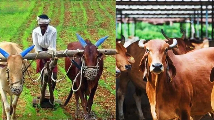 अब बिहार के किसान ज्ञान रथ से सिखेंगे खेती और पशुपालन के गुर