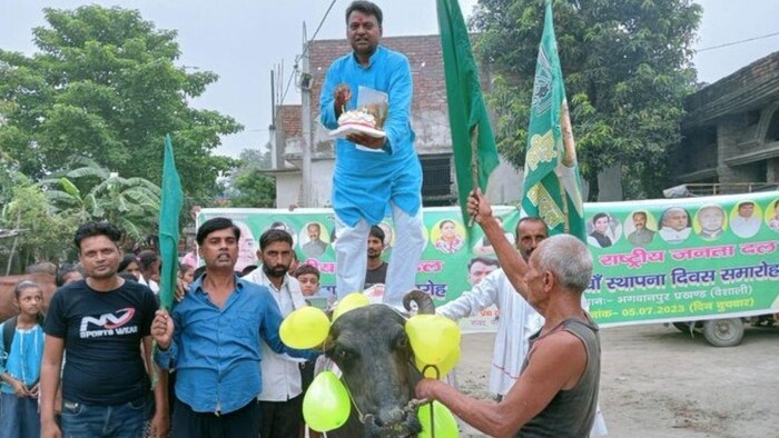 राजद कार्यकर्ताओं ने भैंस के पीठ पर काटा केक