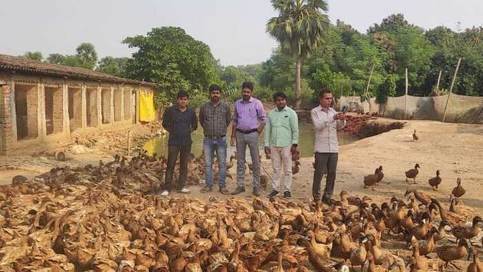पोल्ट्री के व्यवसाय से जुड़कर भोजपुर जिला के चार दोस्त अच्छी कमाई कर रहे हैं.फोटो -किसान तक
