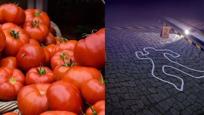 खूनी बना लाल टमाटर