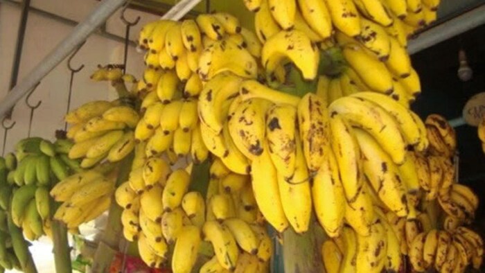 नंजनगुड केले की खेती, सांकेतिक तस्वीर