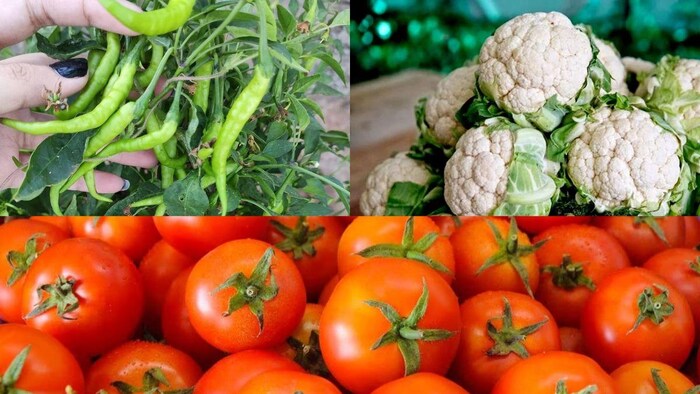 जुलाई के महीने में इन फसलों की करें बुवाई