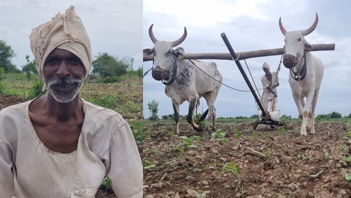 सफल किसान आईजी चौहान