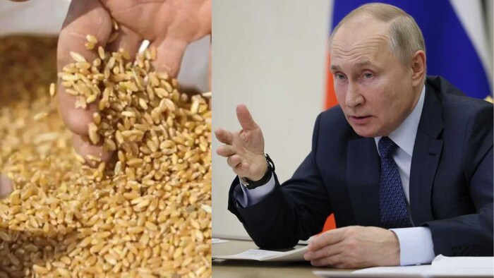 क्या है काला सागर अनाज समझौता? क्यों रूस ने किया खत्म?, सांकेतिक तस्वीर