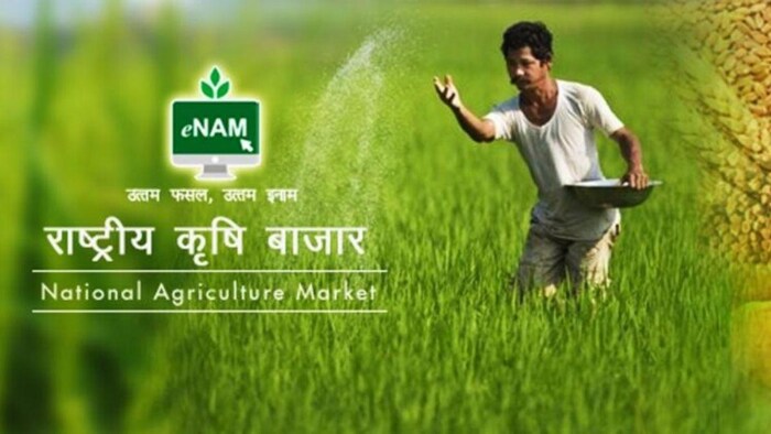 राष्ट्रीय कृषि बाजार योजना (ई-नाम मंडी) क्या है?, सांकेतिक तस्वीर