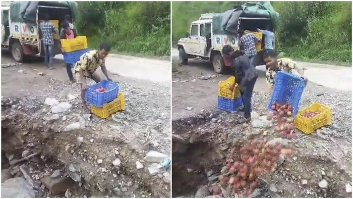 हिमाचल के शिमला में बागवानों ने नाले में बहा दिए सेब, वीडियो हुआ वायरल