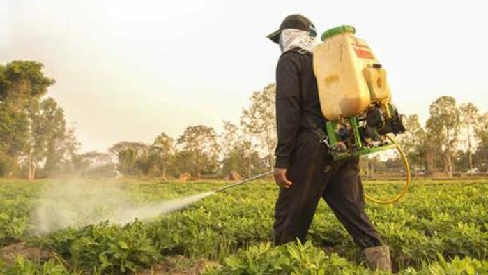 आज विदेशों में ऑर्गेनिक निमेटोड के तर्ज पर किसान खेती कर रहे है.