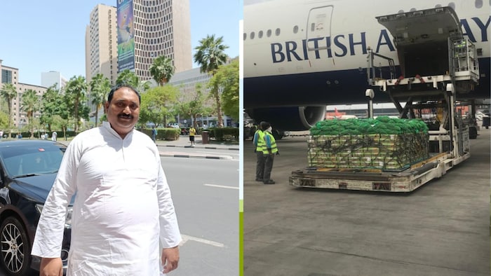 यूपी से यूरोप, अफ्रीका तक सब्जियां एक्सपोर्ट कर रहे गाजीपुर के किसान