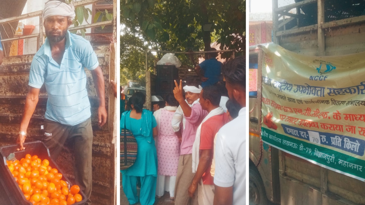 Tomato Price In Lucknow: लखनऊ में यहां सस्ता मिल रहा है टमाटर, जानें कीमत और लोकेशन