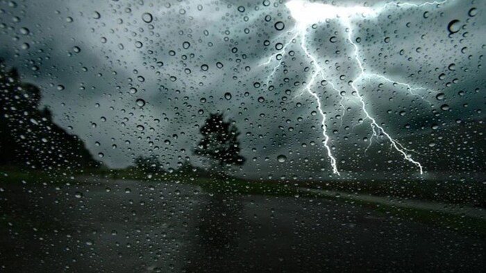 पूर्वी यूपी के जिलों में बारिश नहीं होने से धान की फसल सूख रही है.