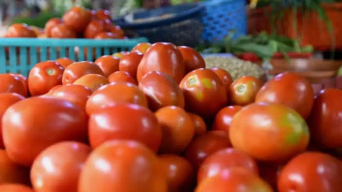 अब सरकारी रेट पर टमाटर 90 रुपये प्रति किलो की बजाय 80 प्रति किलो की दर से बेचा जाएगा.