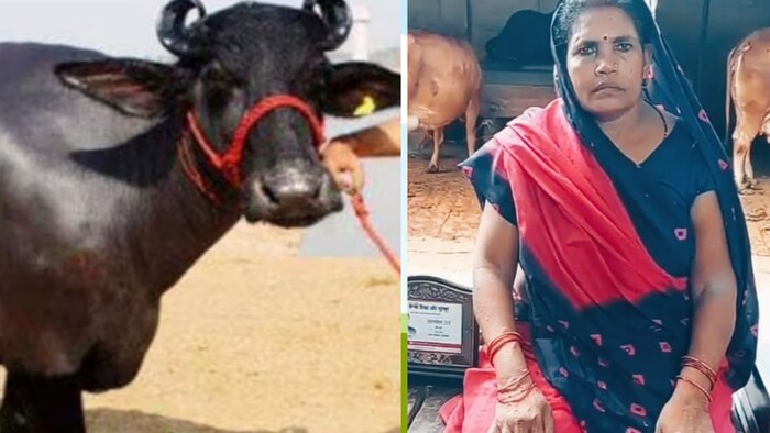 संघर्ष से भरा है लखनऊ की बिटाना देवी का सफर