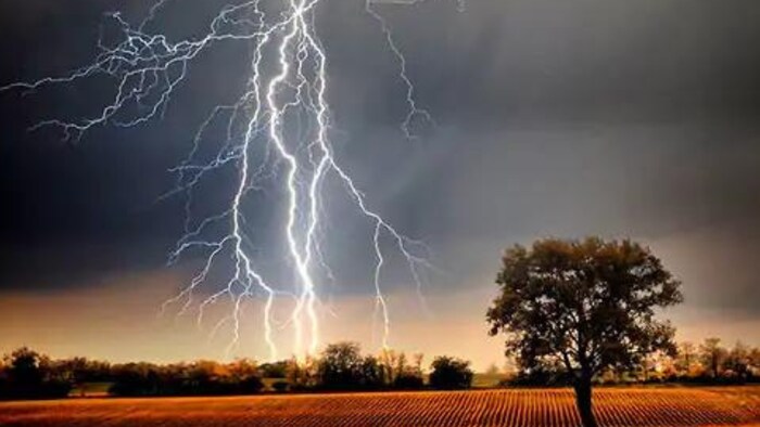 कभी भी जमीन पर न लेटें, क्योंकि सतह पर करंट तेजी से फैलता है.