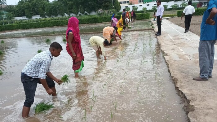 नेशनल क्रॉप इंश्योरेंस प्रोग्राम के अंतर्गत 73.58 करोड़ रुपये स्वीकृत