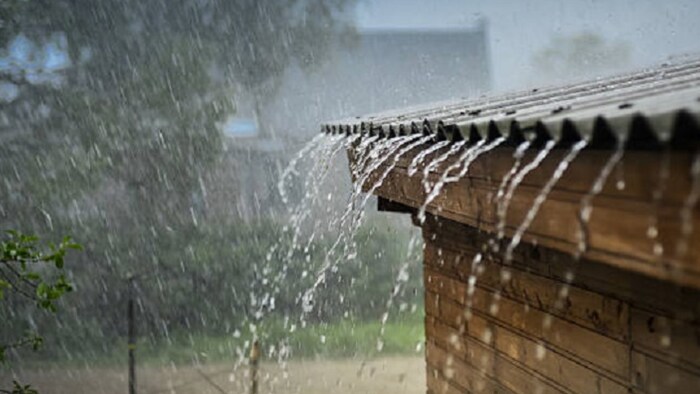 गोरखपुर जिले से सटे कुछ हिस्सों में हल्की बारिश होने से हवा में नमी आई, जिससे गर्मी व उमस से राहत महसूस हुई.