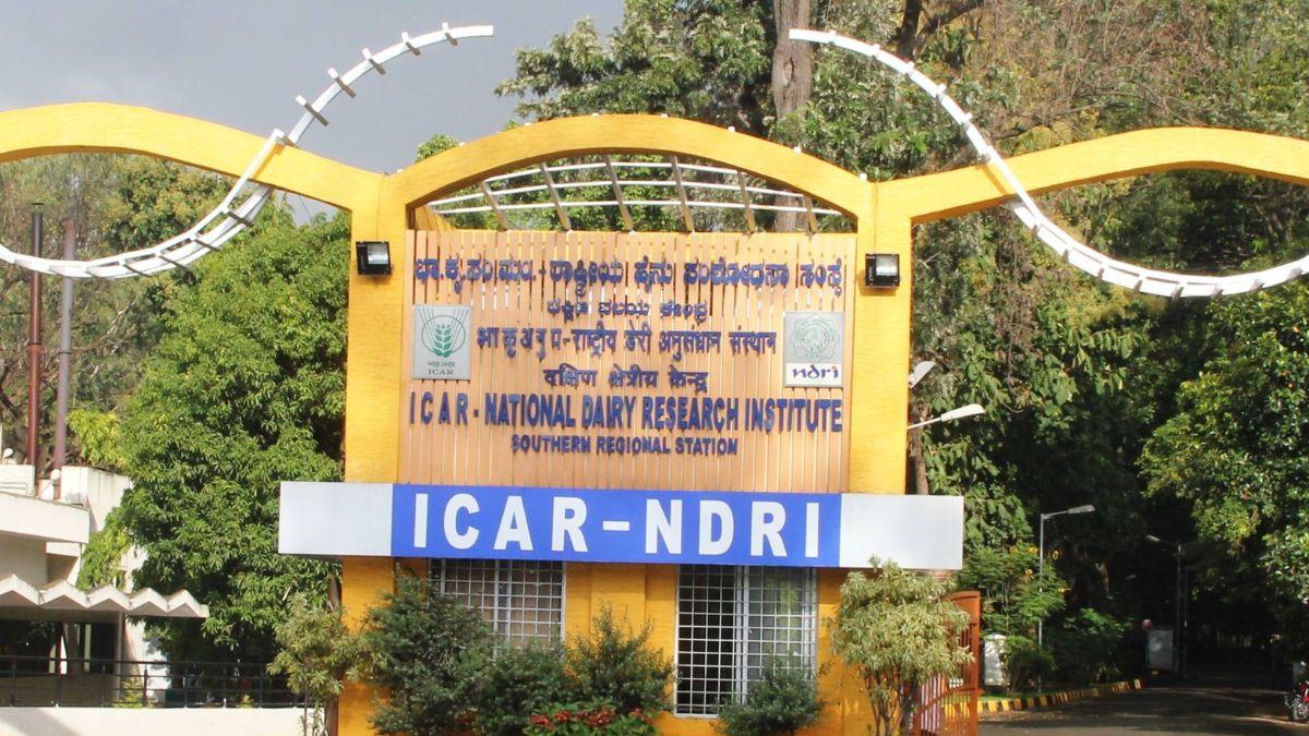 Career In Agriculture: डेयरी सेक्टर में बनाएं कर‍ियर, NDRI से करें पढ़ाई 