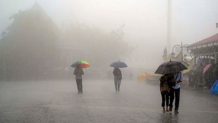 मौसम विभाग की मानें तो 24 जुलाई से प्रदेश में मानसून की सक्रियता बढ़ने के संकेत हैं.