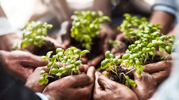 एग्रीकल्चर इंजीनियरिंग से खुलेंगे रोजगार के द्वार - फोटो फ्रीपिक