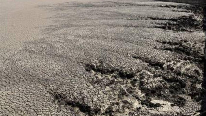 पानी की तलाश में बेहाल हुए किसान सूखी कृष्णा नदी में खोद रहे कुआं, सांकेतिक तस्वीर