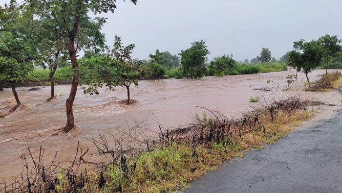 करनाल जिले में 50 हजार एकड़ से अधिक फसल पानी में डूबी, सांकेतिक तस्वीर