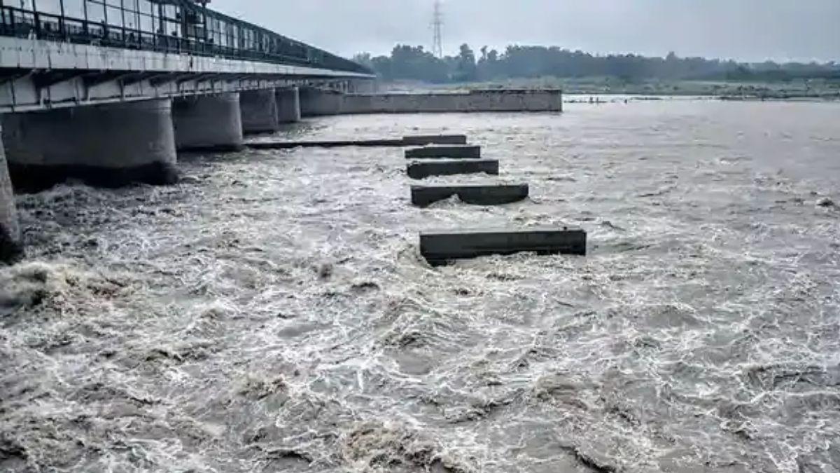 Weather Update: दिल्ली पर मंडरा रहा बाढ़ का खतरा, आज होगी बैठक, इन राज्यों में भी अलर्ट जारी