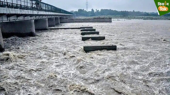 उफान पर आ रही है यमुना नदी. प्रतीकात्मक फोटो