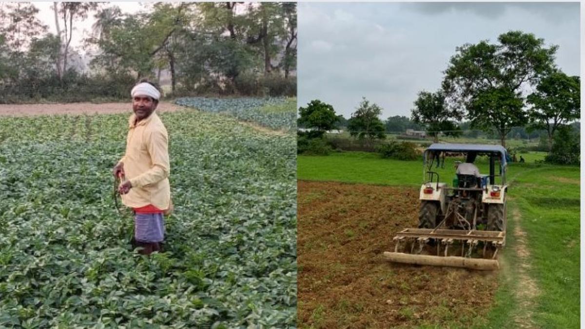 Jharkhand Drought News: कृषि मजदूरों को नहीं मिल रहा काम, ट्रैक्टर मालिकों के पास नहीं है ईएमआई भरने के पैसे